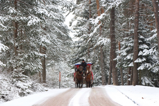 Bolu'da kar manzaraları 1
