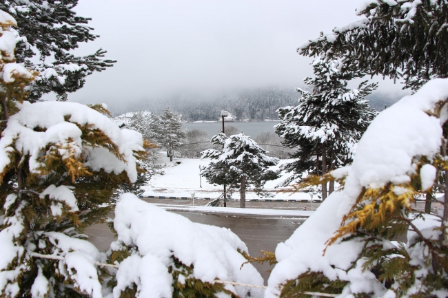 Bolu'da kar manzaraları 5