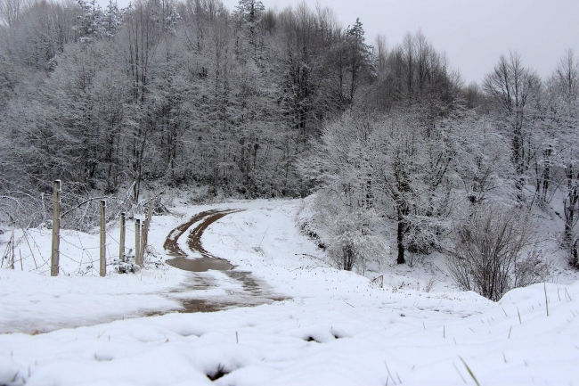 Bolu'da kar manzaraları 7