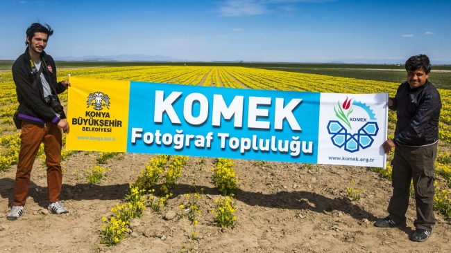 Konya'da yetiştirilen laleler dünyayı süslüyor 14