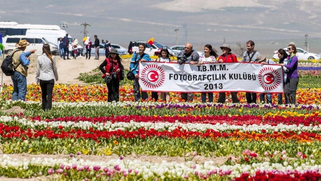 Konya'da yetiştirilen laleler dünyayı süslüyor 15