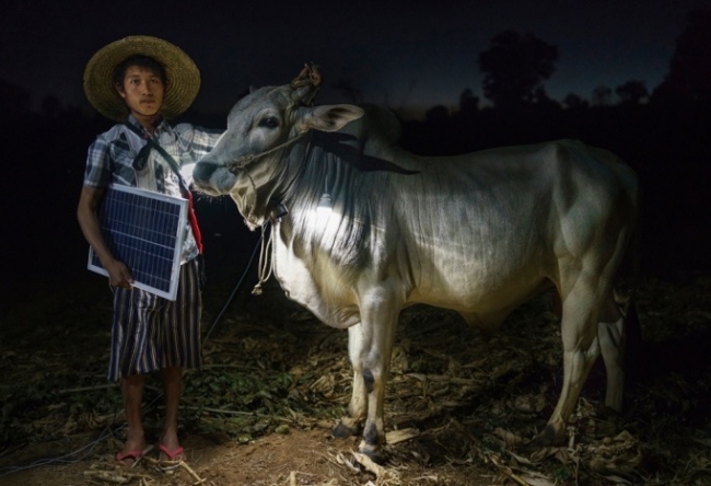 Sony Dünya Fotoğrafçılık Ödülleri 2015 7