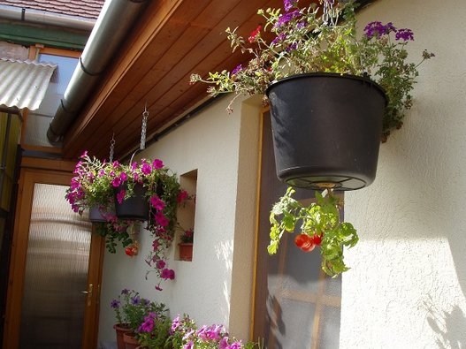 Küçük balkonunuz nasıl dev bir bahçeye dönüşür? 9