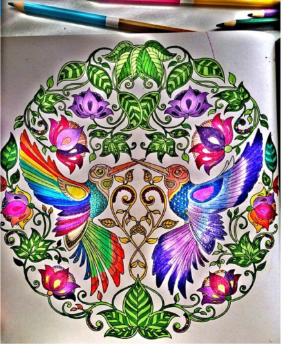 Esrarengiz Bahçe'ye giren çıkamıyor 14