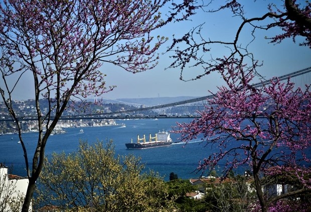 İstanbul'da erguvan vakti 1