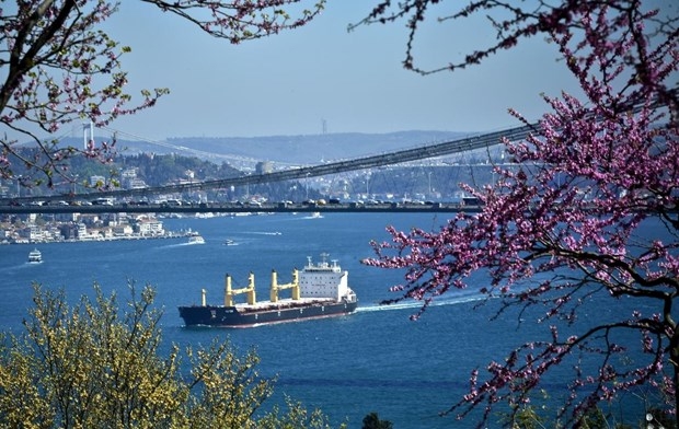 İstanbul'da erguvan vakti 2