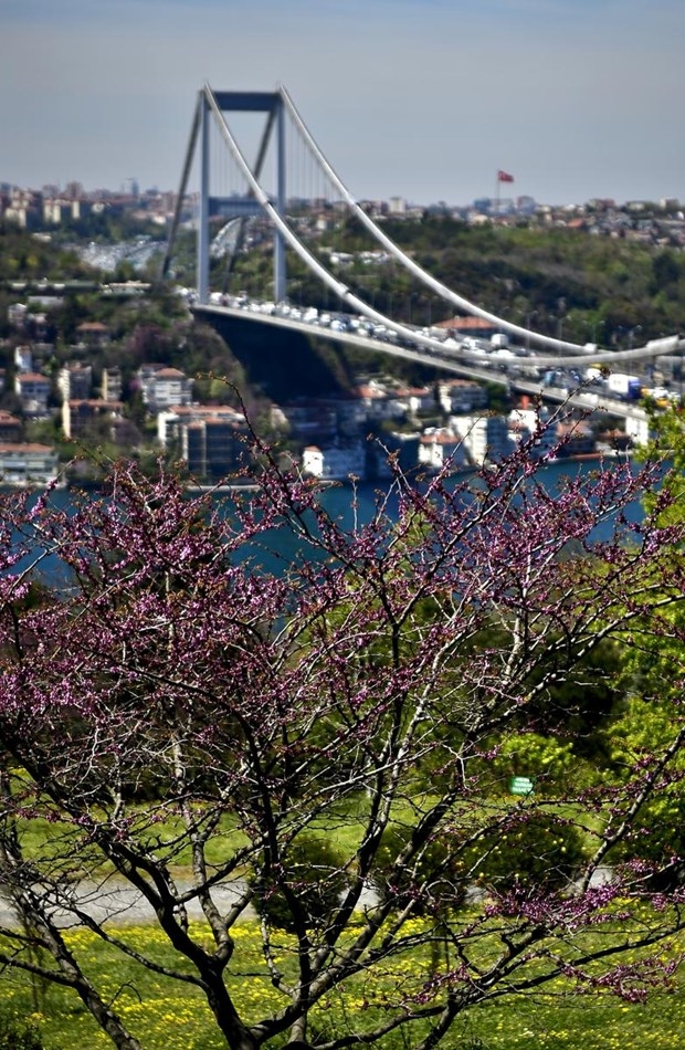 İstanbul'da erguvan vakti 4
