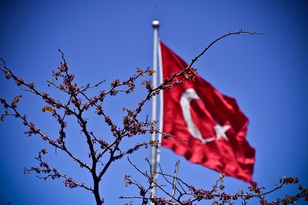 İstanbul'da erguvan vakti 5