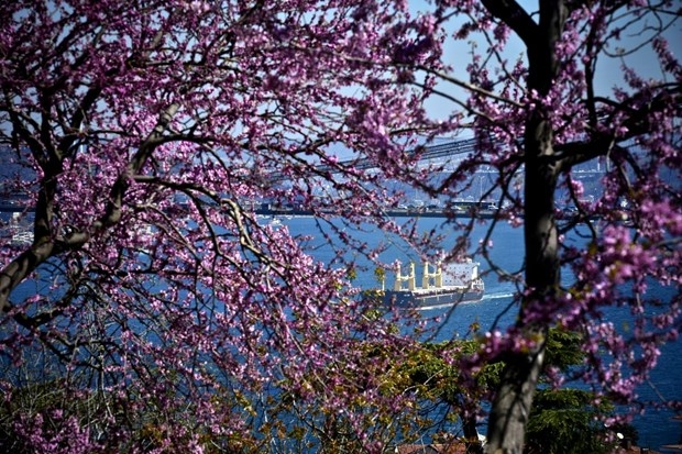 İstanbul'da erguvan vakti 9