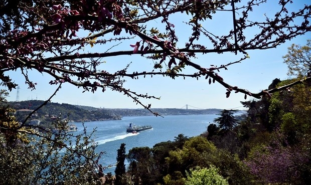 İstanbul'da erguvan vakti 10