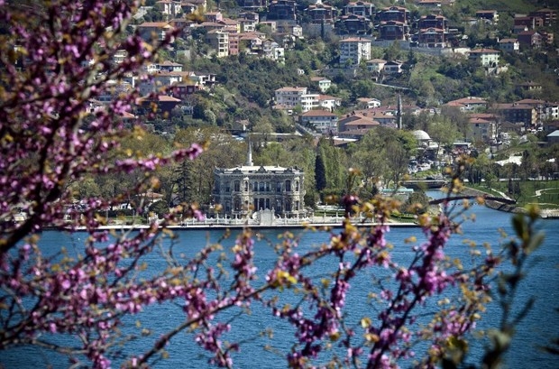 İstanbul'da erguvan vakti 11