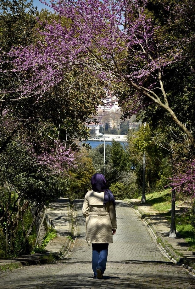 İstanbul'da erguvan vakti 17