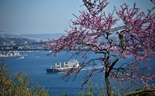 İstanbul'da erguvan vakti 18