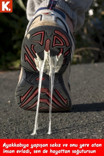 Hayattan soğutan anlar 2