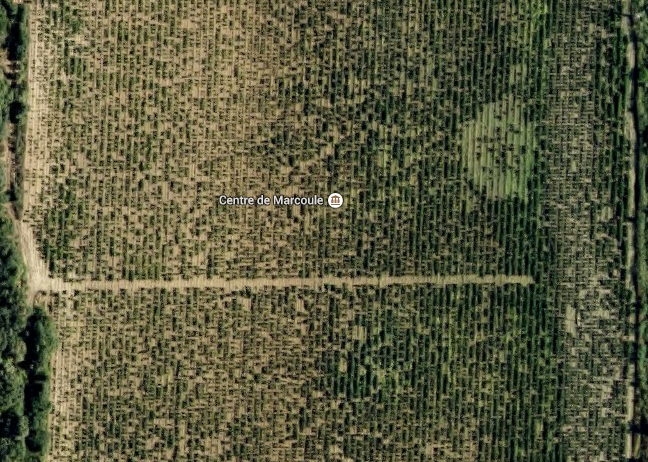 Google'ın gizlediği 15 mekan 3