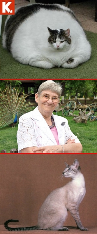 Canan Karatay'ın gülmekten diyete sokacak capsleri 15