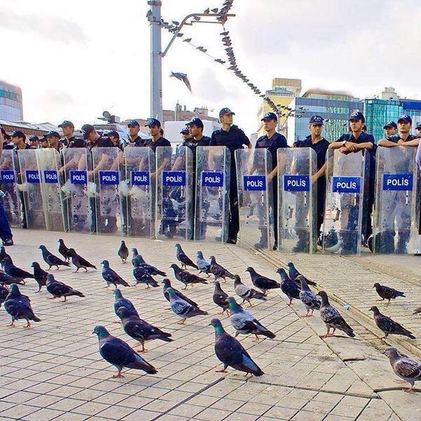 1 Mayıs'dan özel kareler 4