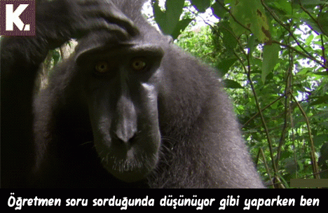 En komik GIF Capsleri 5