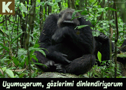 En komik GIF Capsleri 8