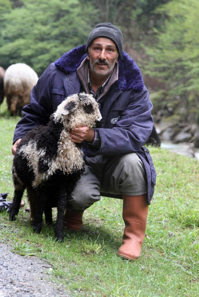 Doğu Karadeniz'de yaylalara göç başladı 5
