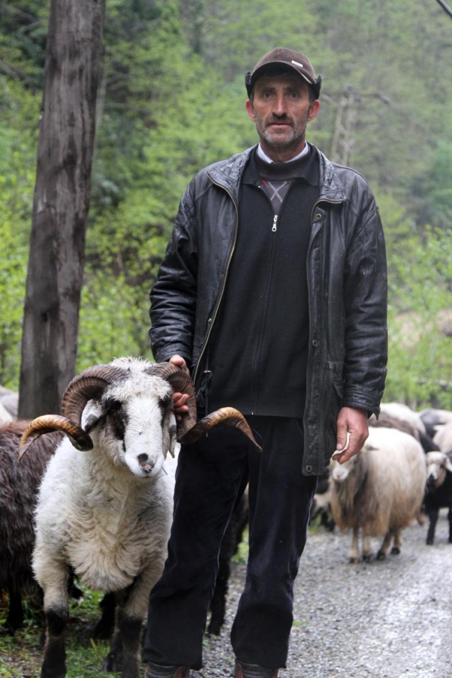 Doğu Karadeniz'de yaylalara göç başladı 9