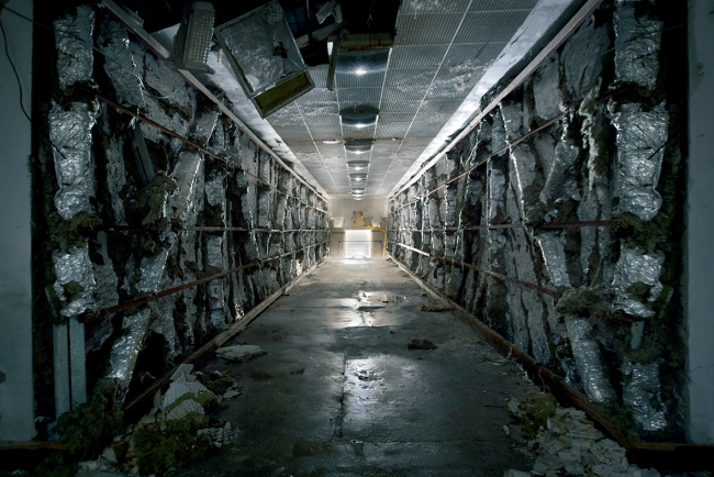 Yıkık İmparatorluğun tozlu anılarında yolculuk 8