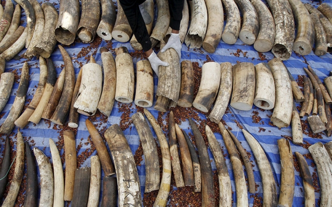 Hamburger Palyaçolar 1