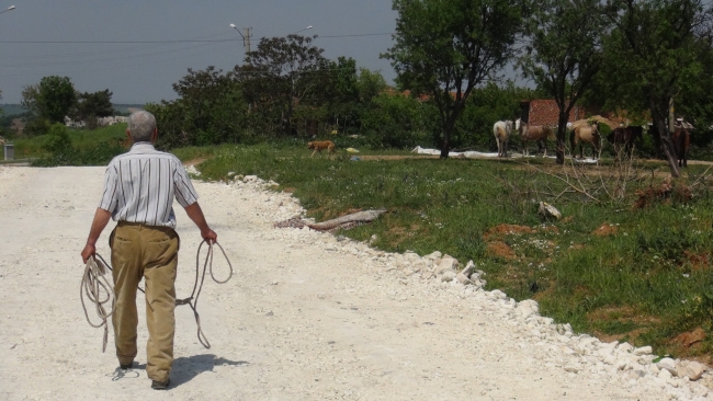 "Müdür çoban" iş başı yaptı 5