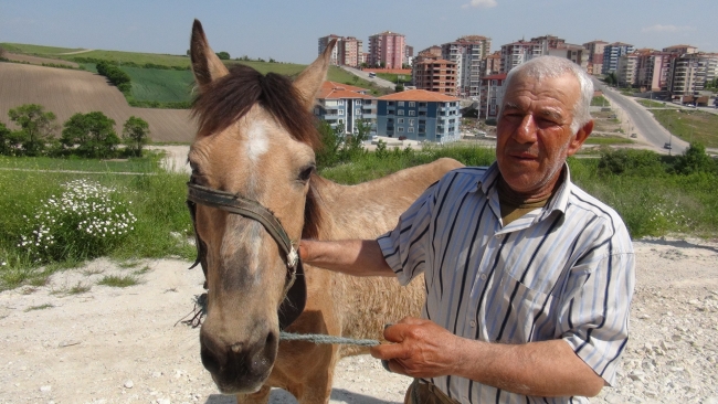 "Müdür çoban" iş başı yaptı 8