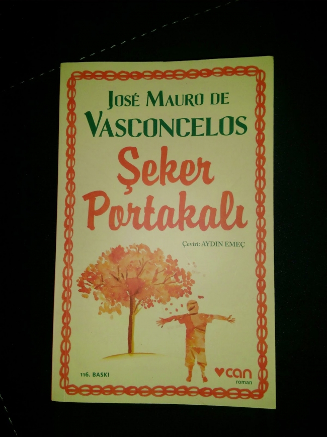 En çok bu kitapları okuduk 15