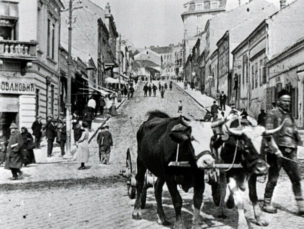 Yabancıların gözünden Osmanlı'da hayat... 6