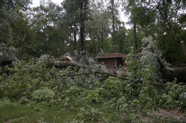 Fırtına Marmara'yı vurdu 19