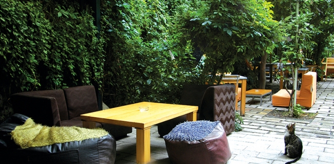 Annelere şehrin dört bir yanından ziyafet sofraları 4