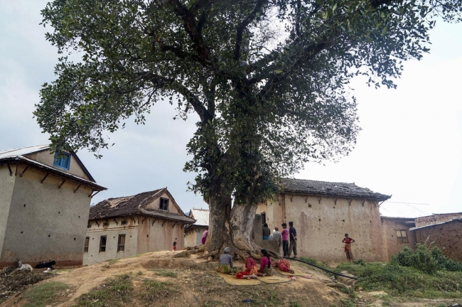 Nepal'de felaketin izleri sürüyor 23