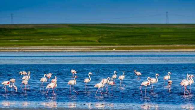 Düden'in misafirleri 2