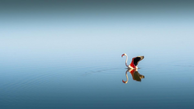 Düden'in misafirleri 3