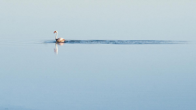 Düden'in misafirleri 4