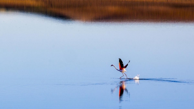 Düden'in misafirleri 5