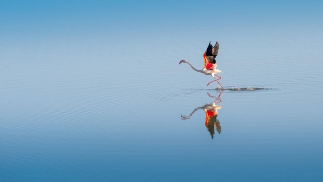 Düden'in misafirleri 6