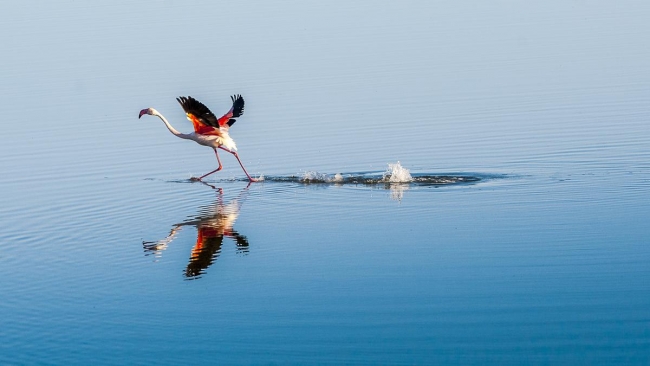 Düden'in misafirleri 7