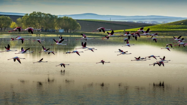 Düden'in misafirleri 8