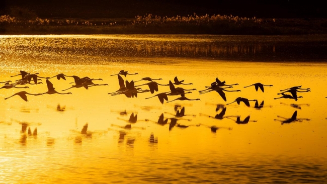 Düden'in misafirleri 9