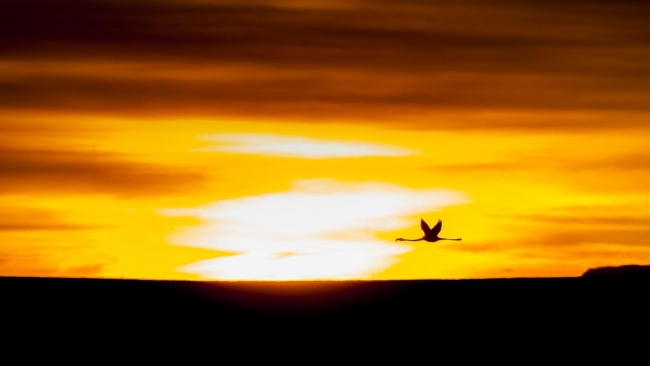 Düden'in misafirleri 10