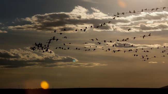 Düden'in misafirleri 11