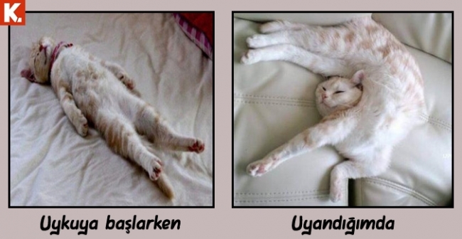 Neşenize neşe katacak capsler 1