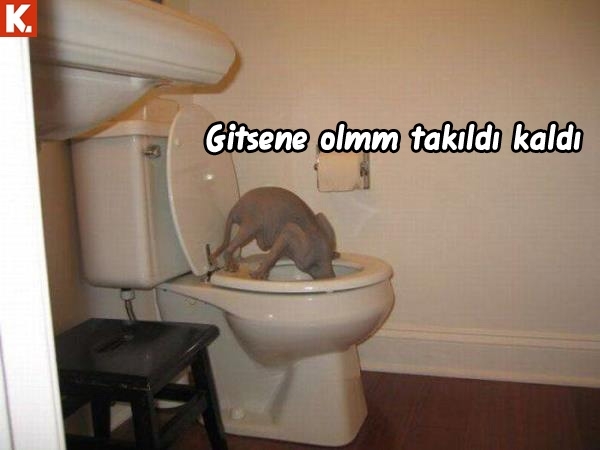 Neşenize neşe katacak capsler 8