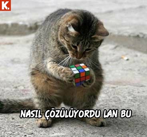 Neşenize neşe katacak capsler 10