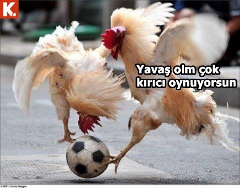 Neşenize neşe katacak capsler 13