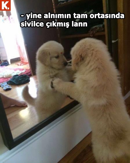 Neşenize neşe katacak capsler 17