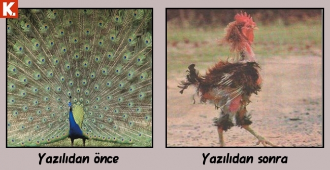 Neşenize neşe katacak capsler 6